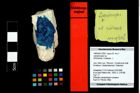 Foto (Objekt + Etikett) von Laeviprosopon sp.  (NHMW-GEO-1990-0041-3295)